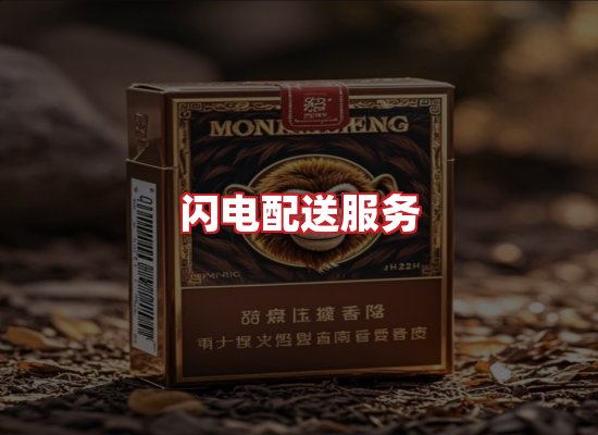 专业团队